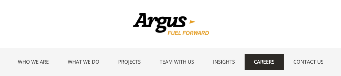 Argus Consulting
